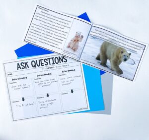 Ask questions graphic organizer with nonfiction polar bear book