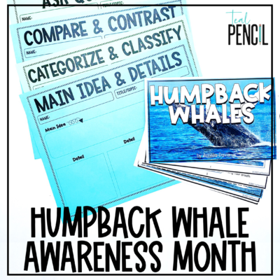 6 Activities to Observe Humpback Whale Awareness Month
